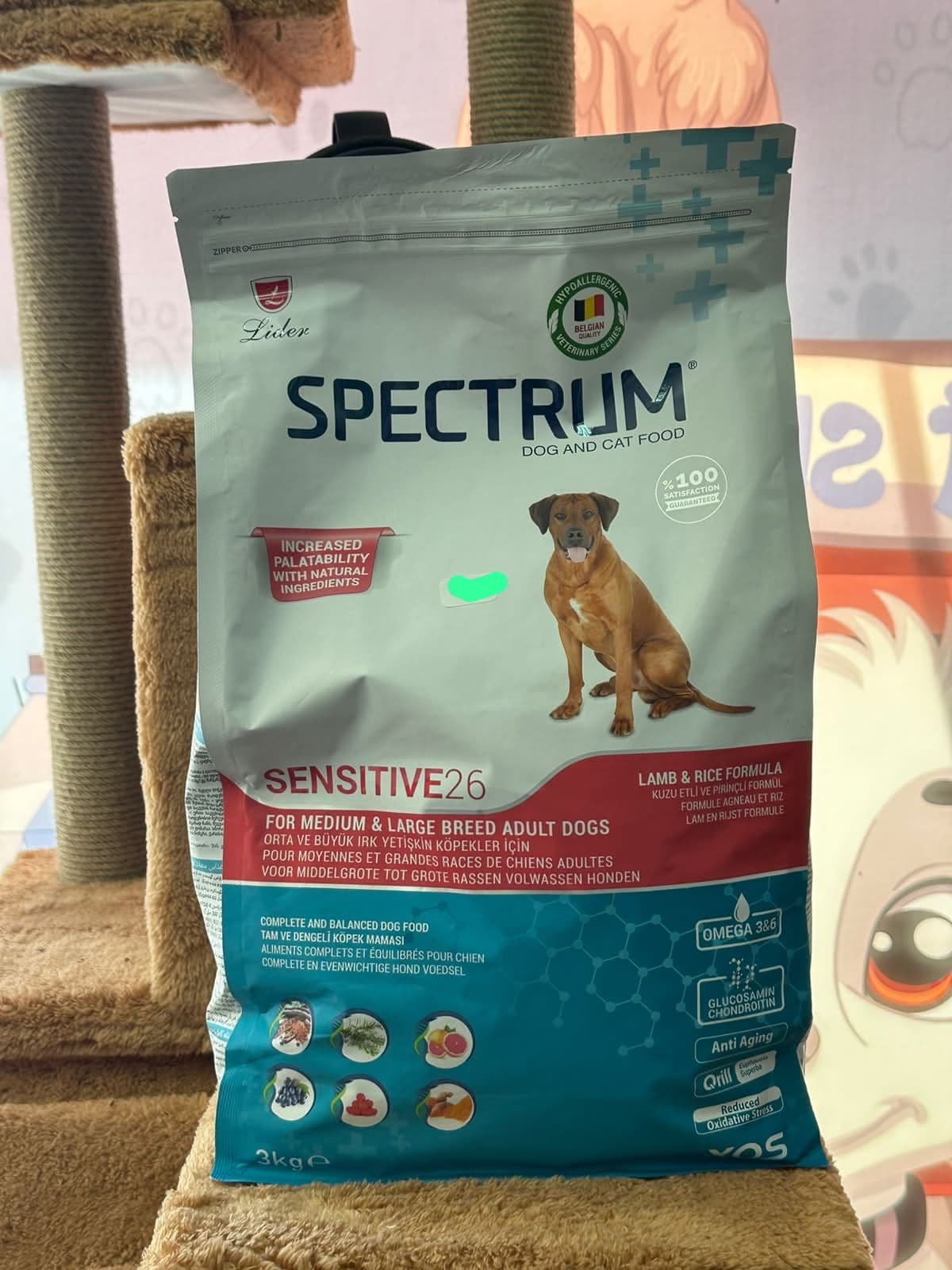 Spectrum Kitten 38 for Kittens (Yavru Kediler İçin) Tavuklu Kedi Maması