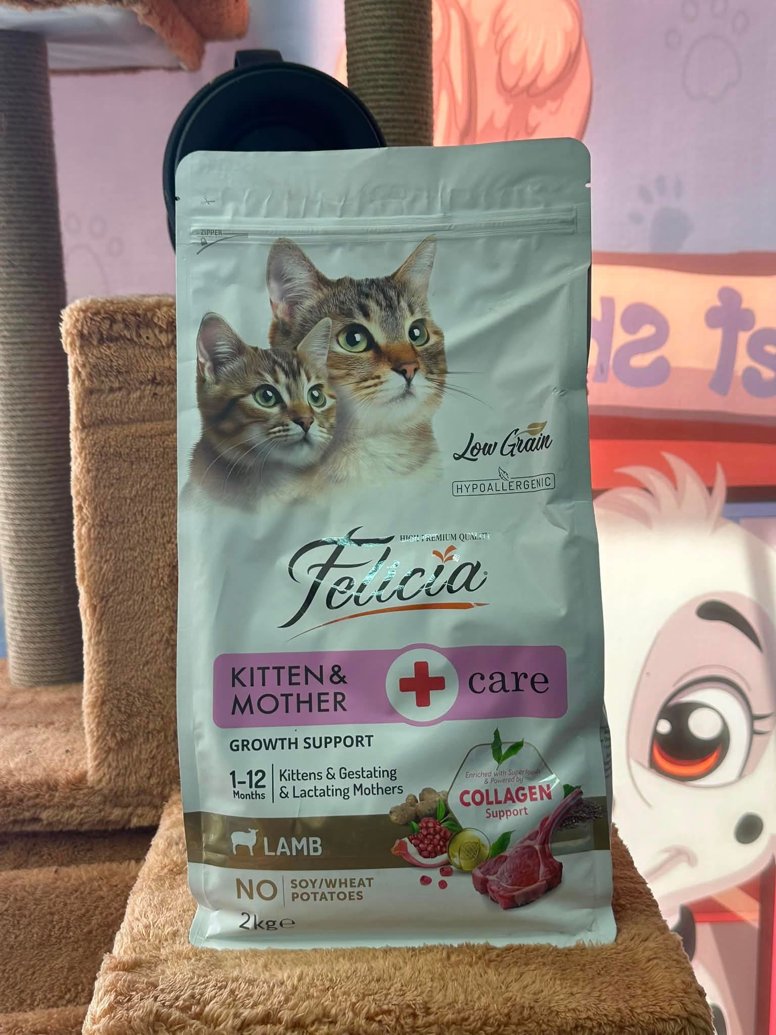 Felicia Kitten & Mother Care (Yavru ve Gebe/Emziren Anne Kedi) Kuzu Etli Kedi Maması