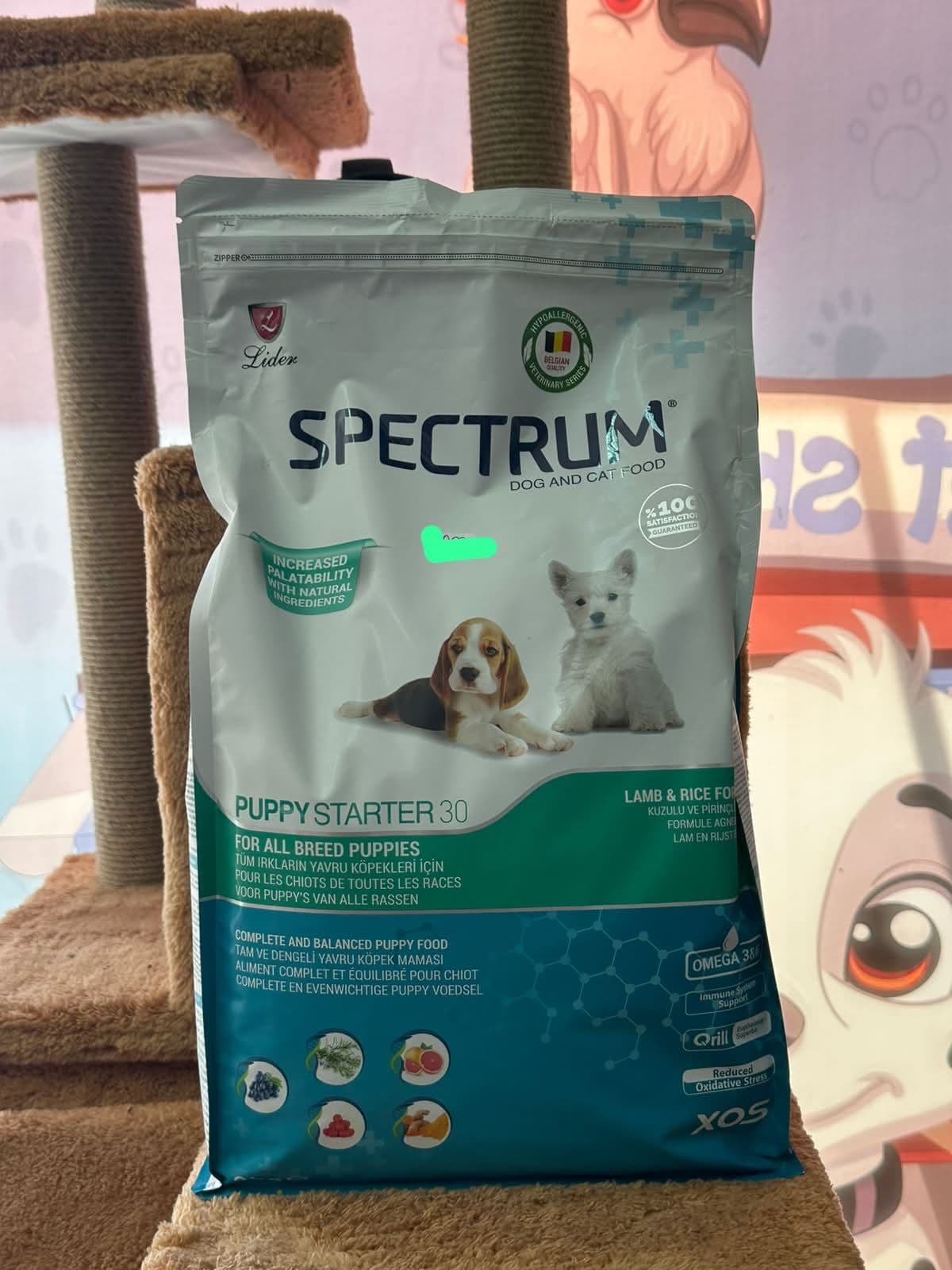 Spectrum Puppy Starter 30 for All Breed Puppies (Tüm Irkların Yavru Köpekleri İçin) Kuzulu ve Pirinçli Köpek Maması