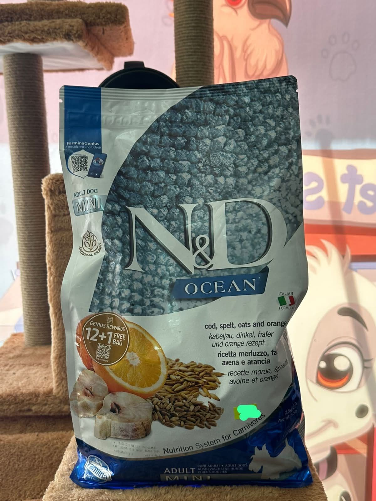 Farmina N&D Ocean Adult Dog Mini Morina Balıklı, Kılçıksız Buğdaylı, Yulaflı ve Portakallı Küçük Irk Yetişkin Köpek Maması