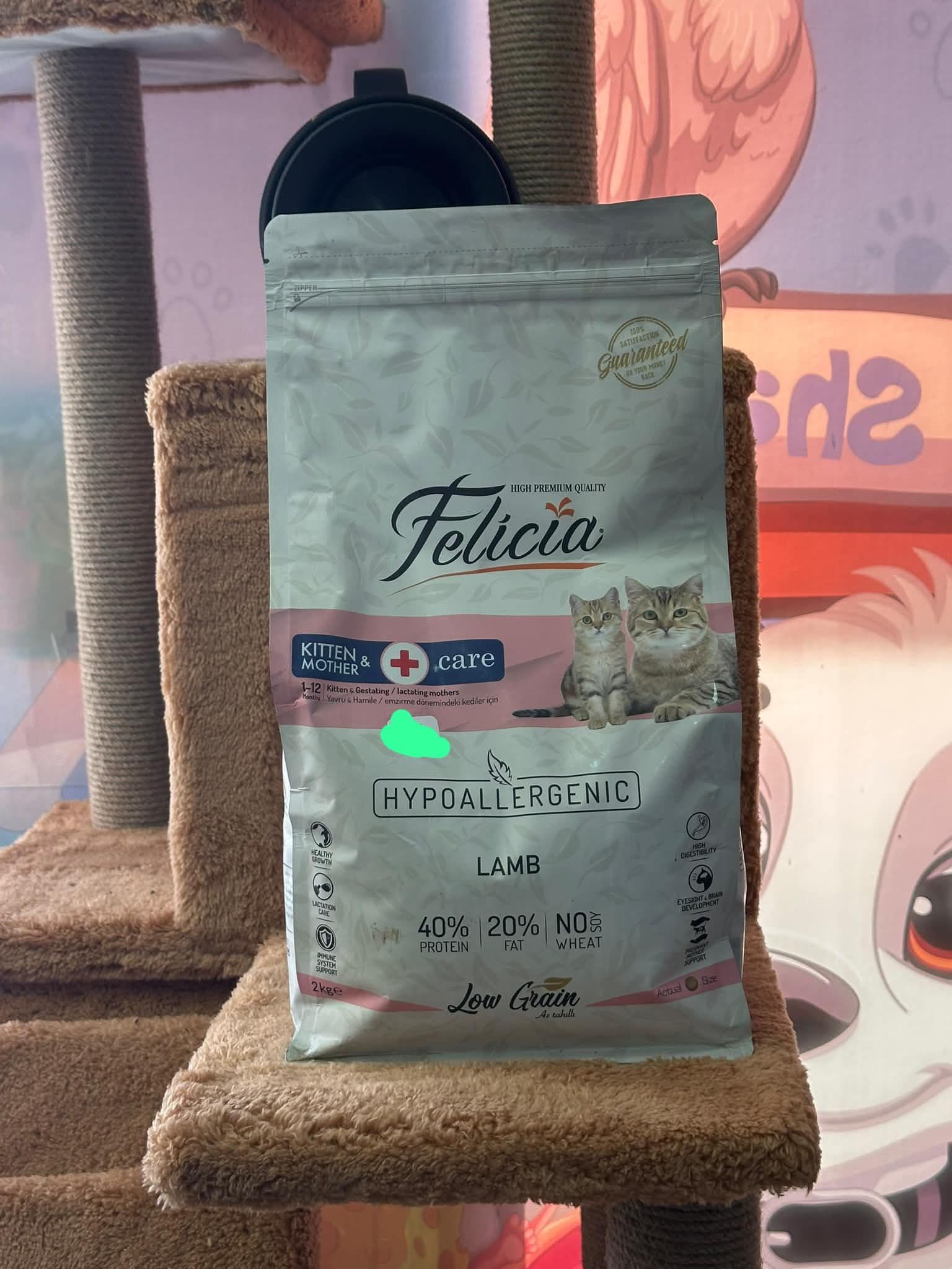 Felicia Kitten & Mother Care (Yavru ve Anne Kedi) Kuzu Etli Kedi Maması