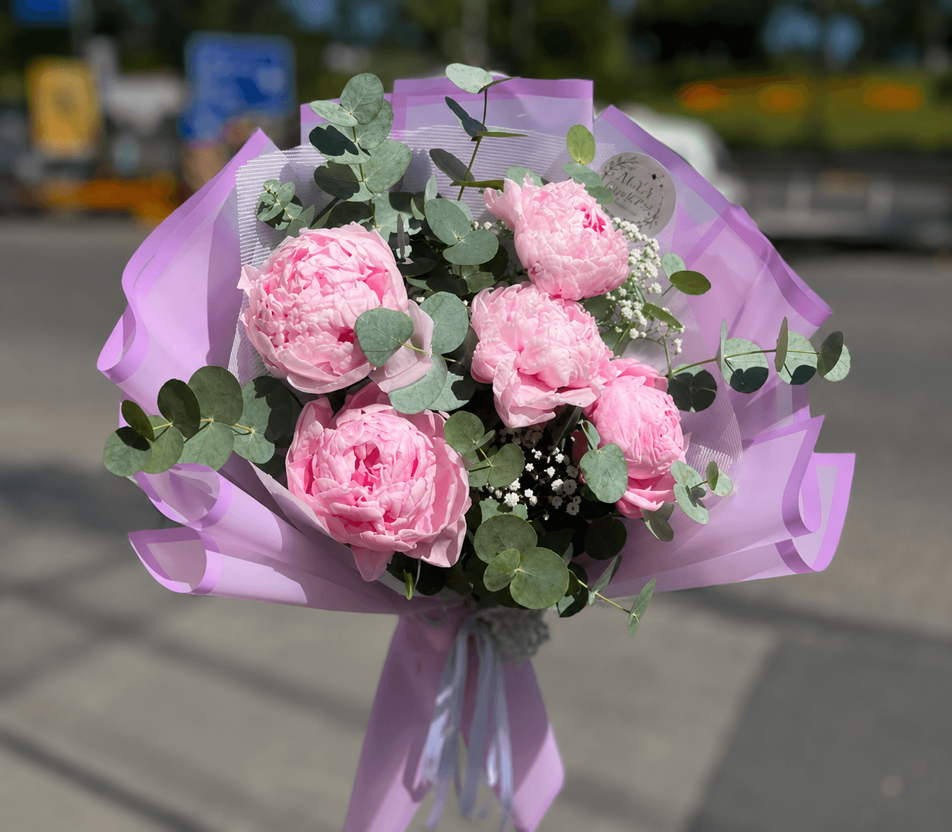 Şakayık Peony  Çiçek 